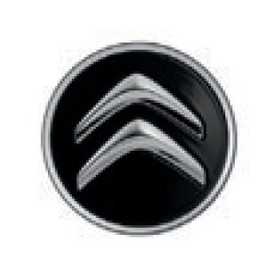 画像7: シトロエン GRAND SPACETOURER C4 アロイホイール センター キャップ