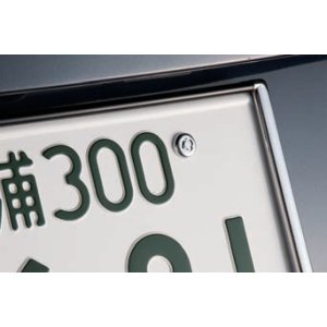 画像1: シトロエン C3 盗難防止ロックボルト ライセンスプレート用