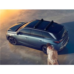 画像3: プジョー 5008（P74）ルーフバー 2本セット