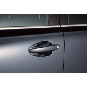 画像1: ドアハンドルプロテクター