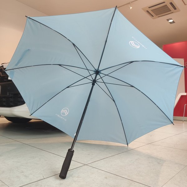 画像3: シトロエン   ロゴ入り 雨傘 ブル (3)