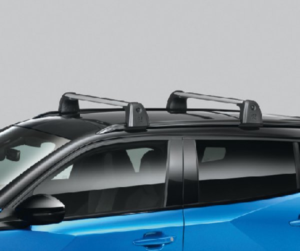 画像1: プジョー 2008 ベースキャリアバー (1)