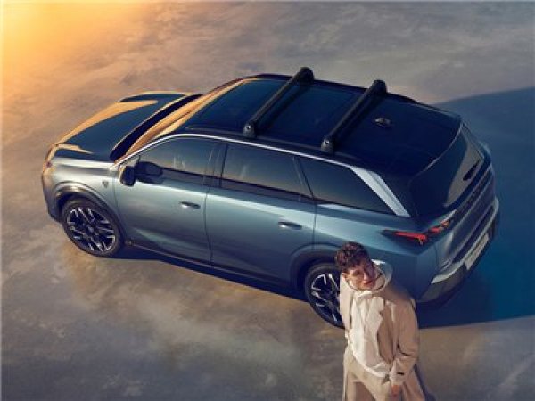 画像3: プジョー 5008（P74）ルーフバー 2本セット (3)